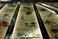 STAND / ΒΙΤΡΙΝΑ ΚΑΤΑΣΤΗΜΑΤΟΣ