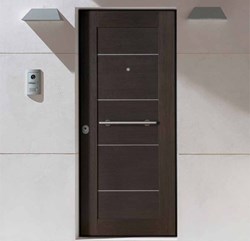 ΠΟΡΤΕΣ ΕΙΣΟΔΟΥ