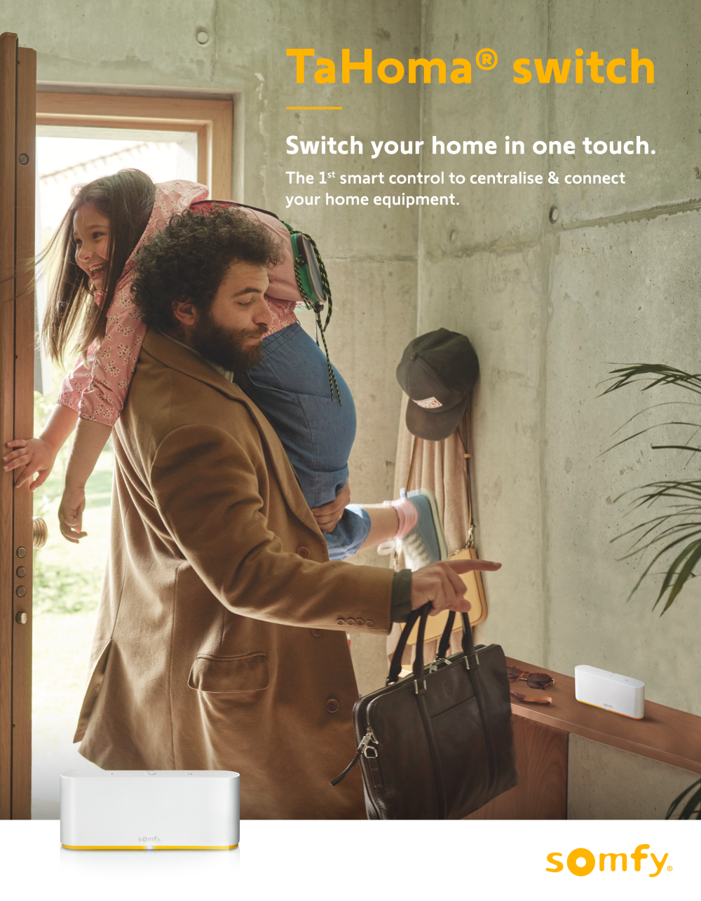 Tahoma leaflet Tahoma leaflet